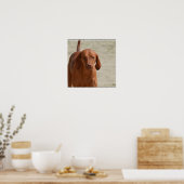 Coonhound Poster (Keuken)