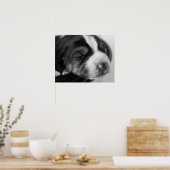 Coonhound Puppy Poster (Keuken)