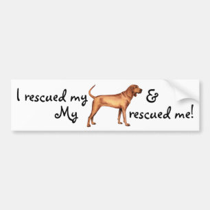 Coonhound Rescue Redbone Bumpersticker