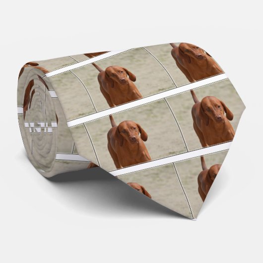 Coonhound Stropdas (Opgerold)