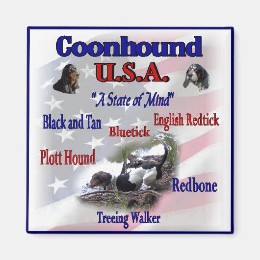 Coonhound USA Gifts Magneet (Voorkant)