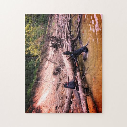 Coonhounds in de rivier legpuzzel (Verticaal)