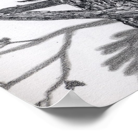 Coonie Poster (Hoek)