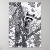 Coonie Poster (Voorkant)