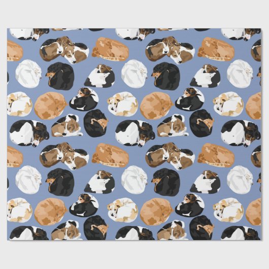 Cooniecurl Cadeaupapier (Vlak)