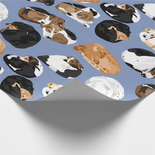 Cooniecurl Cadeaupapier (Hoek)