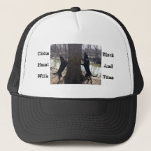Coonjacht met zwart en tans pet met foto