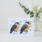 Coop v Sharpie Briefkaart (Staand voorkant)