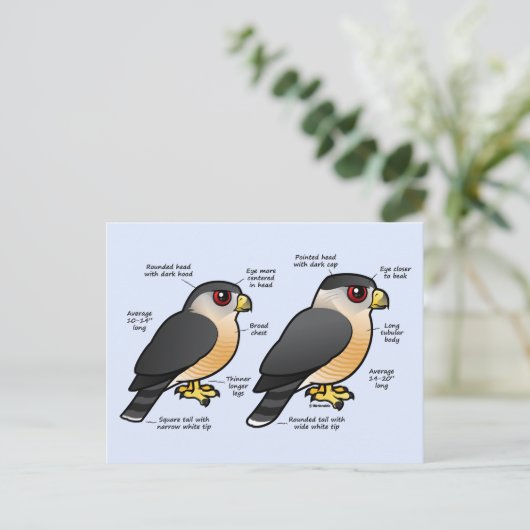 Coop v Sharpie Briefkaart (Staand voorkant)