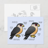 Coop v Sharpie Briefkaart (Voorkant / Achterkant)