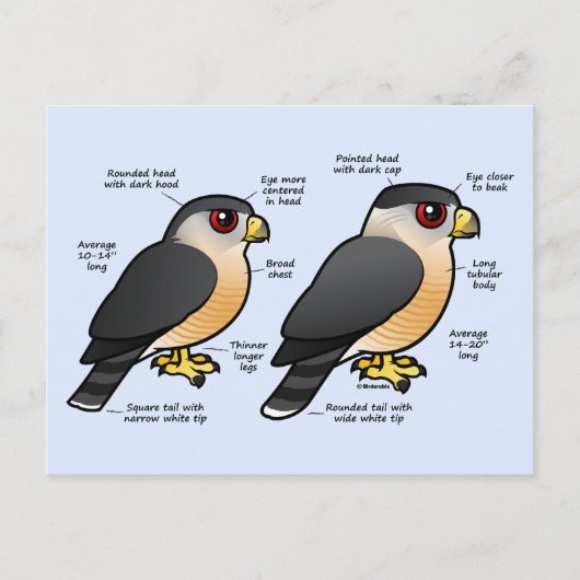 Coop v Sharpie Briefkaart (Voorkant)