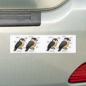 Coop v Sharpie Bumpersticker (Op auto)