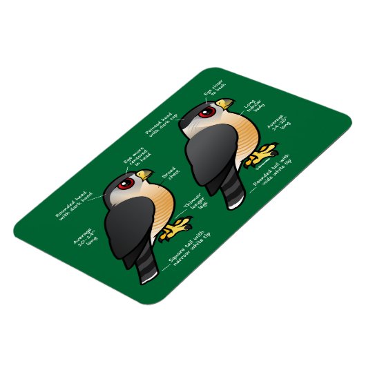 Coop v Sharpie Magneet (Linkerzijde)