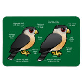 Coop v Sharpie Magneet (Horizontaal)