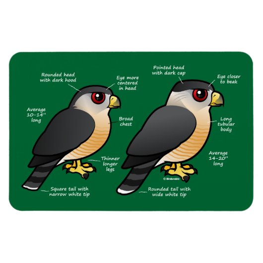 Coop v Sharpie Magneet (Horizontaal)