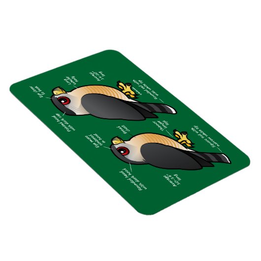 Coop v Sharpie Magneet (Rechterzijde)