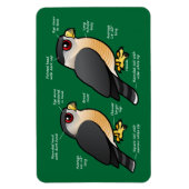 Coop v Sharpie Magneet (Verticaal)