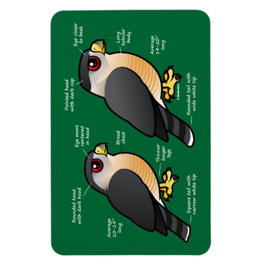 Coop v Sharpie Magneet (Verticaal)