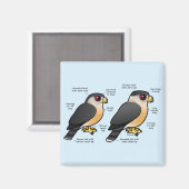 Coop v Sharpie Magneet (Voorkant / Achterkant)