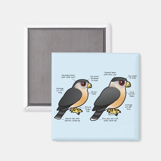 Coop v Sharpie Magneet (Voorkant / Achterkant)