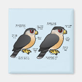 Coop v Sharpie Magneet (Voorkant)