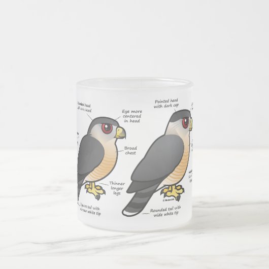 Coop v Sharpie Matglas Koffiemok (Center)