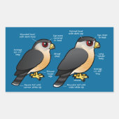 Coop v Sharpie Rechthoekige Sticker (Voorkant)