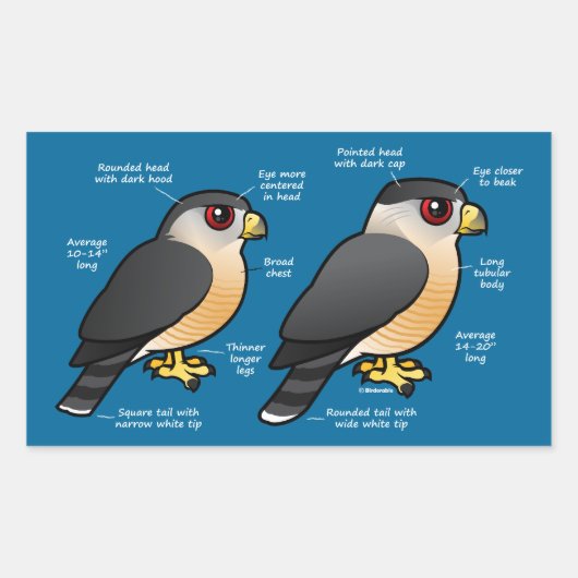 Coop v Sharpie Rechthoekige Sticker (Voorkant)