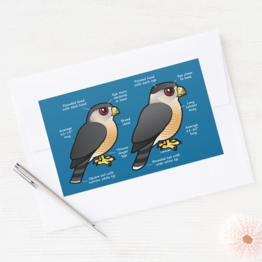 Coop v Sharpie Rechthoekige Sticker (Envelop)