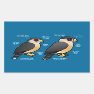 Coop v Sharpie Rechthoekige Sticker