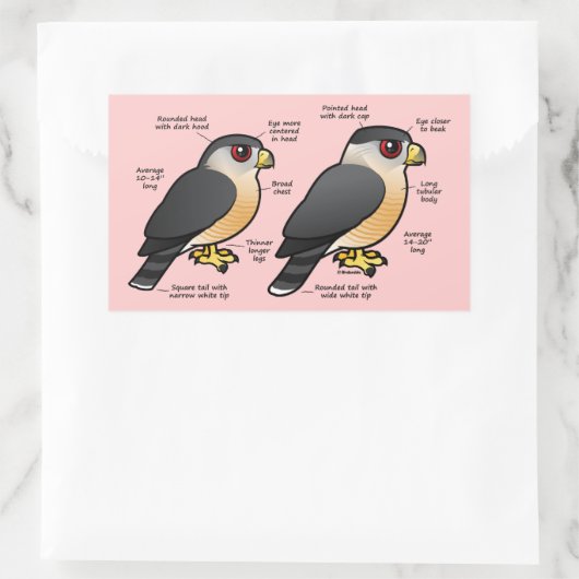 Coop v Sharpie Rechthoekige Sticker (Tas)