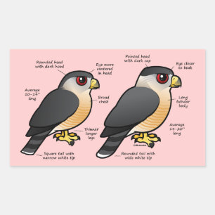 Coop v Sharpie Rechthoekige Sticker