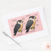 Coop v Sharpie Rechthoekige Sticker (Envelop)