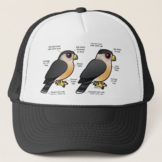 Coop v Sharpie Trucker Pet (Voorkant)