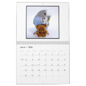 Cooper de Budgie 2025 Kalender (Mar 2026)