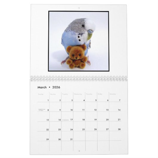 Cooper de Budgie 2025 Kalender (Mar 2026)