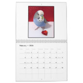 Cooper de Budgie 2025 Kalender (Feb 2026)