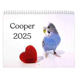 Cooper de Budgie 2025 Kalender