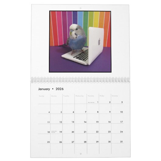 Cooper de Budgie 2025 Kalender (Jan 2026)