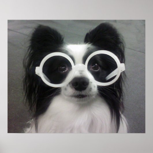 COOPER IN DE SCHADUW POSTER (Voorkant)