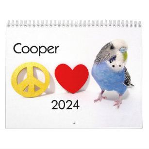 Cooper Kalender 2024