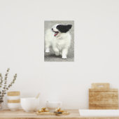 COOPER POSTER (Keuken)