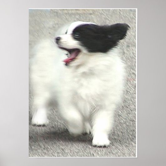 COOPER POSTER (Voorkant)