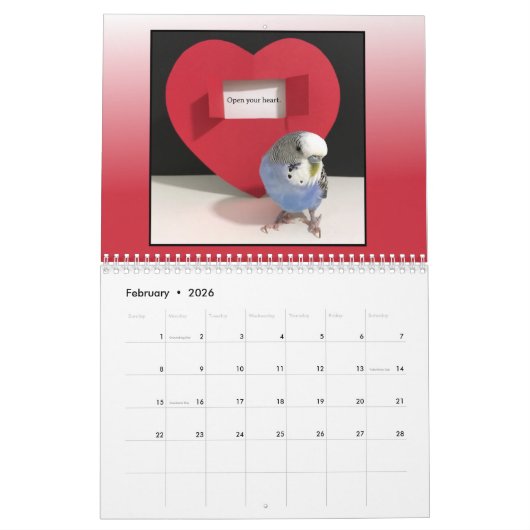 Cooper's Corner Calendar 2026 Kalender (Feb 2026)