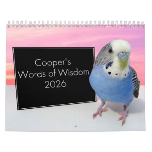 Cooper's Corner Kalender 2026