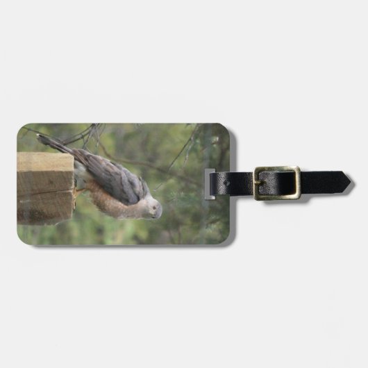 Cooper's Havik Bagage Label (Voorkant horizontaal)