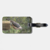 Cooper's Havik Bagage Label (Achterkant horizontaal)