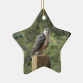 Cooper's havik keramisch ornament (Rechts)