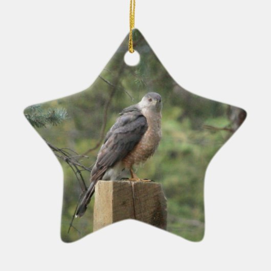 Cooper's havik keramisch ornament (Voorkant)