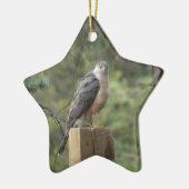 Cooper's havik keramisch ornament (Links)